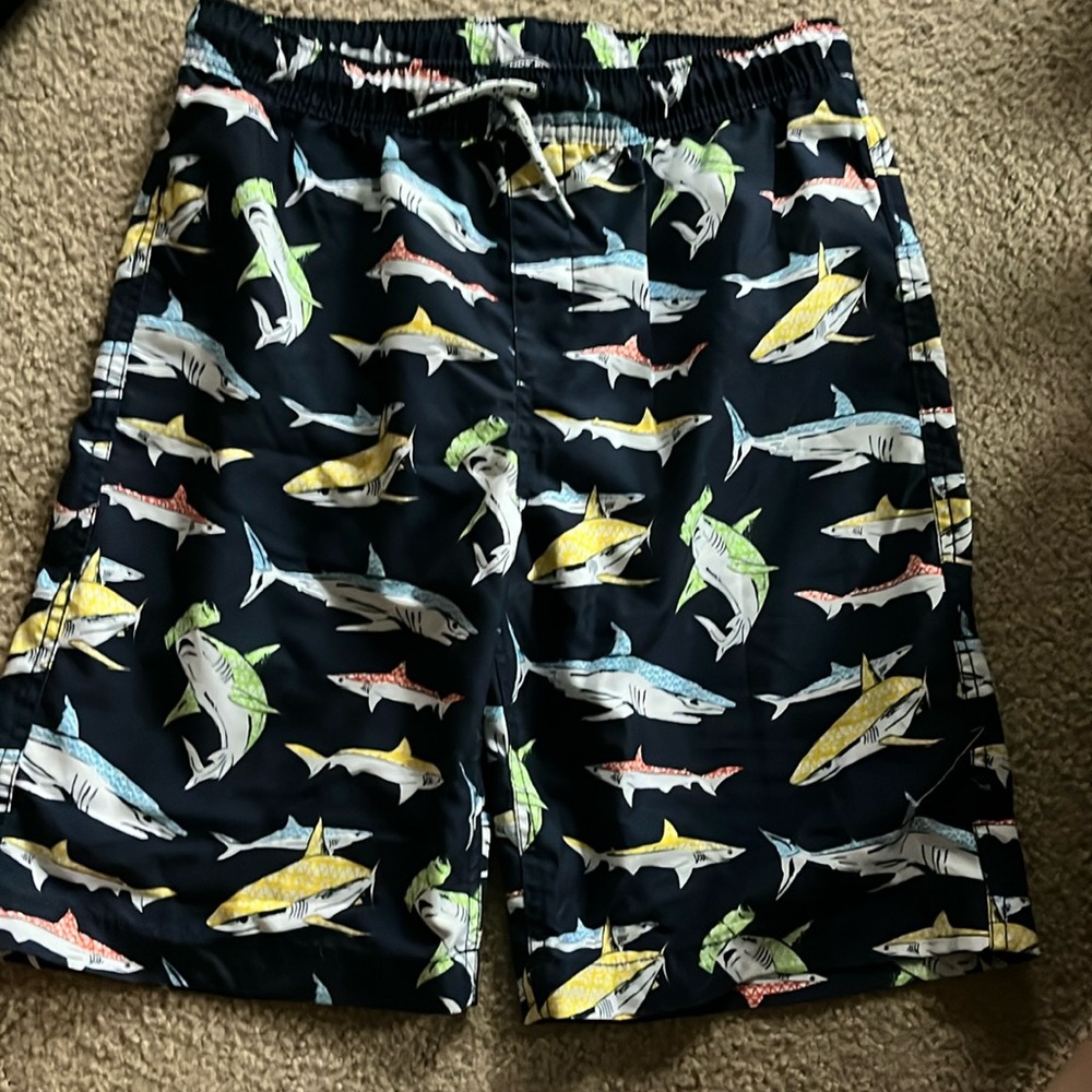 Lands End swim trunks.  Size Large (14-16) like new condition.